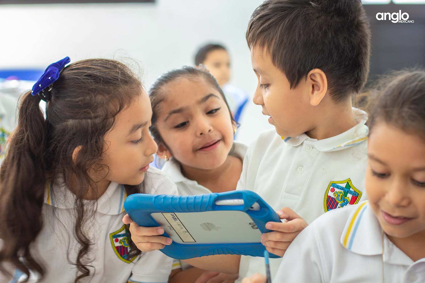 Colegio-Anglo-Mexicano-de-Coatzacoalcos---alumnos-primaria---elementary-school---actividades---colegios-en-coatza-5